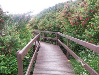 Knowe of Yarso