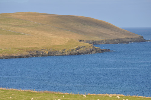 Saviskaill Head
